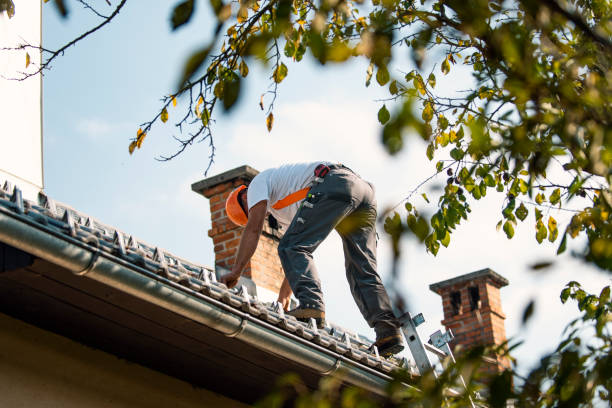 Best Roof Gutter Cleaning  in Glenolden, PA